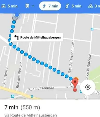 Un Jardin En Apartament
